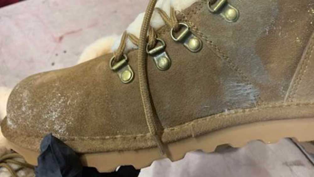 mold on boots